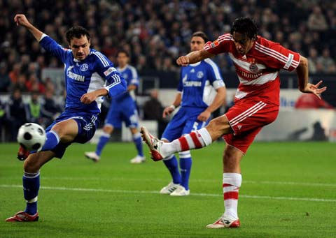 迷们关注的 迷们关注的